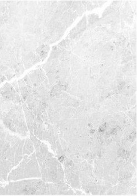 Panneau aragon gris brillant L1500 x H2550 mm épaisseur 3 mm ROTH