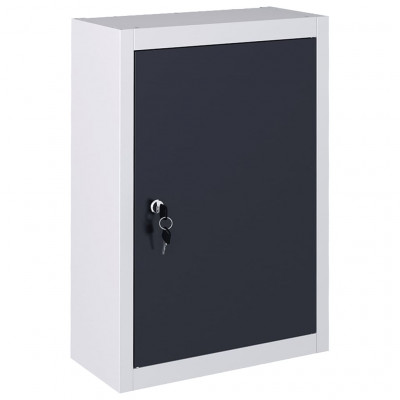 Armoire à outils murale organisateur d'outils armoire de rangement rangement d'outils atelier style industriel métal 60 cm gris et noir 02_0003807
