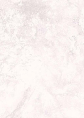 Panneau mural VIPANEL aspect marbre blanc rosé finition velvet 1000 x 2550 mm épaisseur 3 mm ROTH