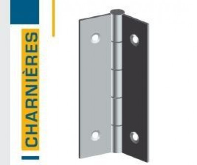 Charnière rectangulaire laiton percé fraise nœud laiton 90 x 50 mm MONIN