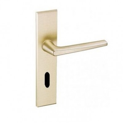 Ensemble de porte Riv Junior porte palière Clé L champagne BEZAULT