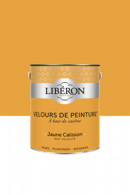 Velours de peinture jaune calisson en boîte de 500 ml V33
