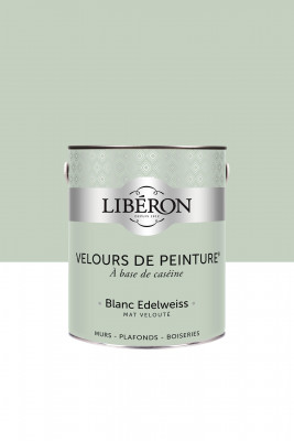 Velours de peinture blanc edelweiss en boîte de 500 ml V33