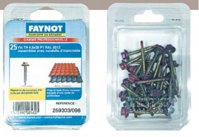 Vis TH 4 P1 ral 8004 8 x 38 mm FAYNOT