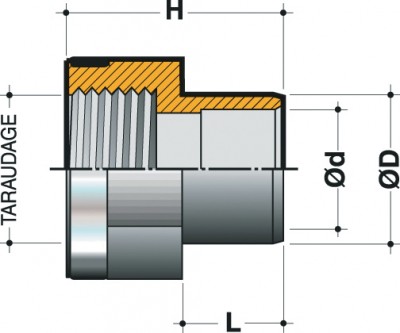 Réduction mixte taraudée femelle à coller diamètre 20mm 15x21 NICOLL