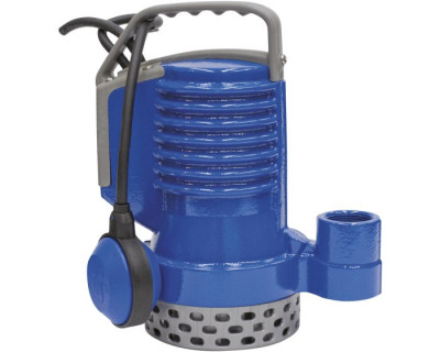 Pompe de relevage auto DR blue 50 mono JETLY