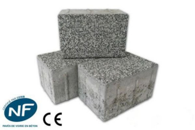 Pavé fil d'eau lavé granité 16 x 24 x 14 cm SEPA