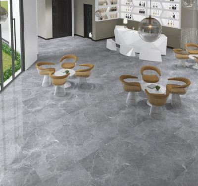 Carrelage sol brillant gris l.60 x L.60 cm Tunisia grey