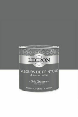 Peinture murale plafond boiseries Velours Peinture gris gravure 5.00 ls