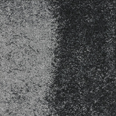 Dalle moquette NEXUS LINK 50 x 50 cm cm 100% POLYAMIDE Gris 0919