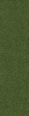 Dalle moquette ULTRASOFT PLANKS 25 x 100 cm 100% POLYAMIDE Vert 0270
