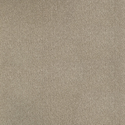 Dalle moquette BOLERO 50 x 50 cm cm 100% POLYAMIDE Brun 0730
