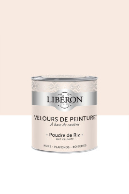 Peinture Velours poudre de riz 500Ls V33