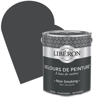 Peinture Velours noir smoking 2.50LS V33