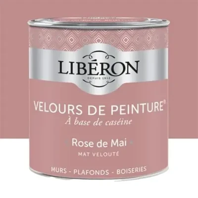 Peinture Velours Rose de Mai 2,5L V33