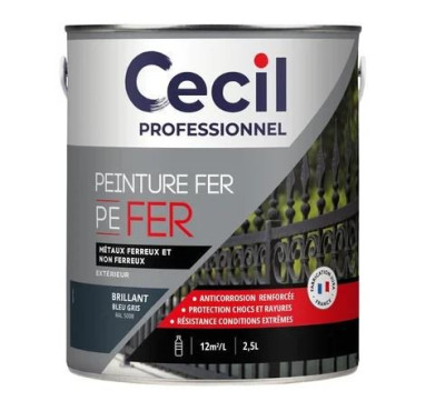 Peinture Fer Pefer 5008 2.5L V33