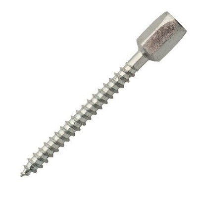 Pavb Pour Tige Filetée 6X100 mm Bt 50 SCELL-IT