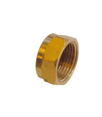BOUCHON BUTANE - PROPANE + JOINT F20/150 DIPRA