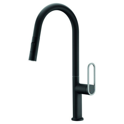 Mitigeur haut avec douchette pour évier Mamba chromé - hauteur 168 mm THERMADOR