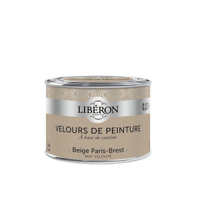Peinture murale intérieure aspect velours Paris-Brest 0,125 L V33