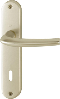 Ensemble San Diego grand tirant sur plaque 165 mm finition champagne carré 7 COFALOG