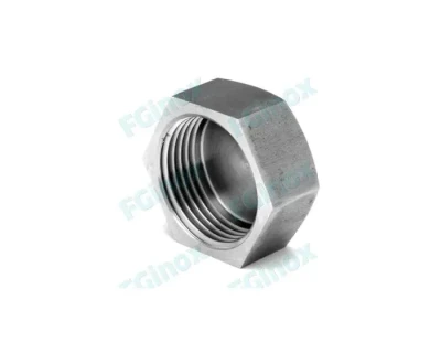 Bouchon hexagonal femelle BF20G 20 x 27 inox FG INOX