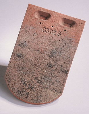 Tuile plate pressée 17x27 Ste Foy terre cuite terre de Beauce 272x170 mm teinte 098 EDILIANS