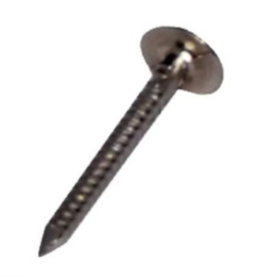Pointe TEL annelée inox 17% 60x3.0 mm-5 kg en seau DIMOS