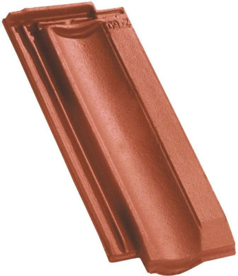 Demi-tuile Standard 9 - 217.01 terre cuite vieilli masse 450x135 mm teinte 114 EDILIANS