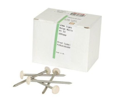 Clou inox à embout plastique longueur 65 mm Belriv système sable CI65S boîte de 100 NICOLL