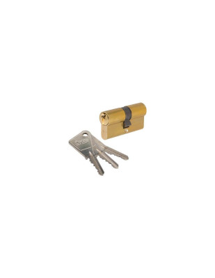CYLINDRE 30x80 7100 LAITON VACHETTE