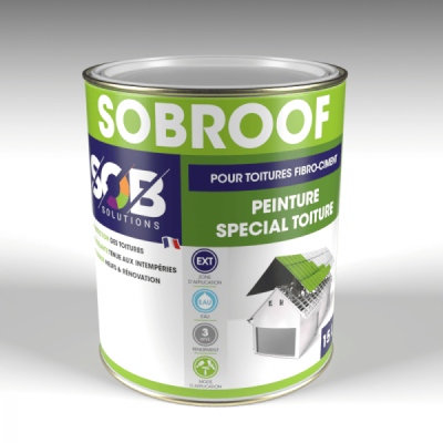 PEINTURE TOITURE 3 L TUILE BETON SOBROOF SOB PEINTURES