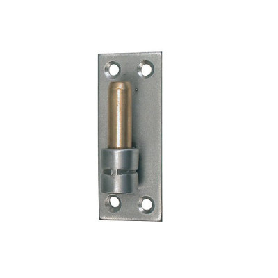 Gond Sur Platine Inox Brossé diamètre 16 x hauteur 180 mm TORBEL INDUSTRIE