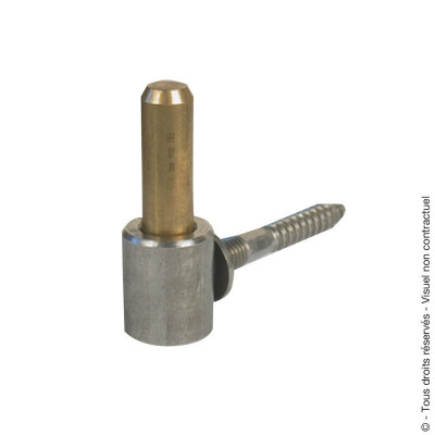 Gond à visser D14 tirefond D10L93 axe laiton inox AFBAT