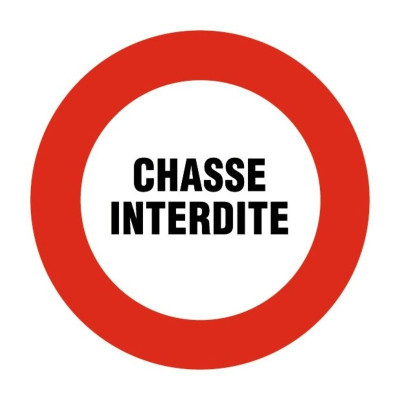 Disque diamètre 300 mm rigide "chasse interdite" - NOVAP