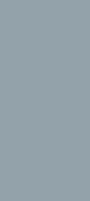 Panneau mural DécoDesign COULEUR 90x255 cm gris argenté Schulte