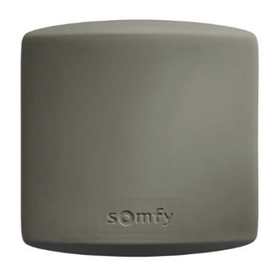 Récepteur standard intérieur RTS pour automatisme de porte et volet 230V  - 1841022 SOMFY
