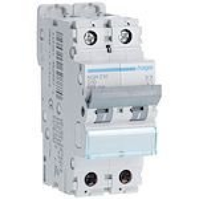 Disjoncteur bipolaire 2P 10A courbe D 6kA à 10kA NGN210 - HAGER