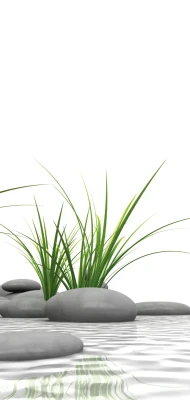Panneau mural DécoDesign PHOTO 90x210 cm pierre zen et herbes (632) SCHULTE