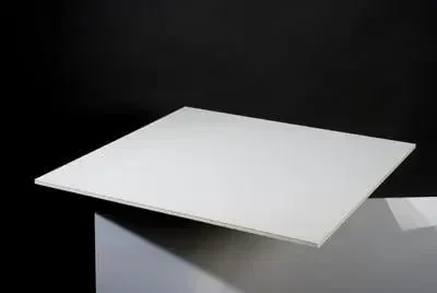 Dalle de plafond hygiénique Gyprex Aseptia A dimensions 9,5x600x600mm carton de 8 pièces R18100600 - PLACO