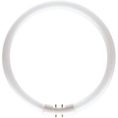 Tube fluorescent circulaire MASTER TL5 60W 840 blanc froid Ø379mm 642615 - PHILIPS