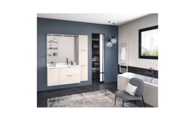 MIROIR EVOLUTION HAUTEUR 100 LONGUEUR 105 DELPHA