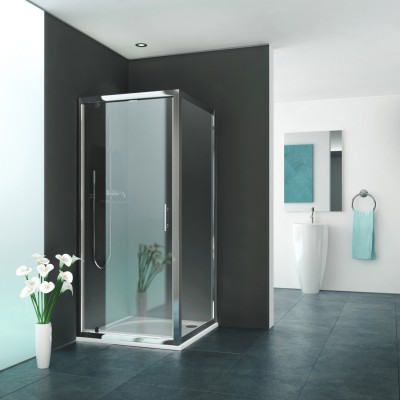 Paroi fixe EQUI 100x200cm argent verre clair