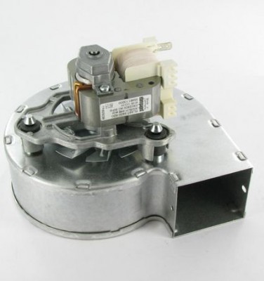 Aspirateur 24K 5007618 RIELLO