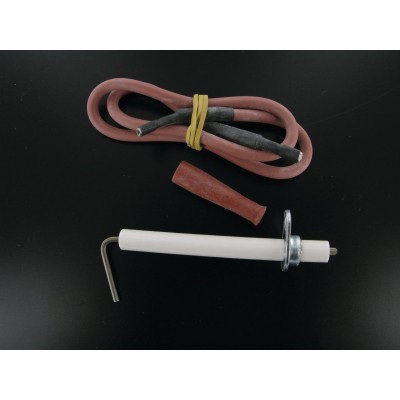 Electrode d'allumage ensemble ARISTON THERMO GROUP