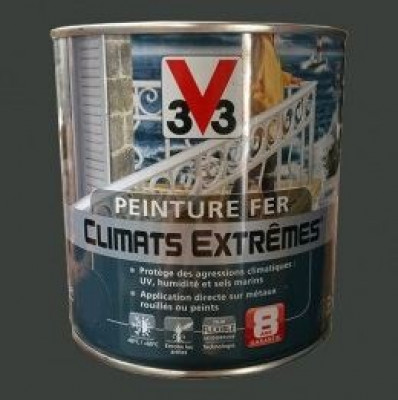Peinture fer climat extrême brillant-gris cendre 0,5 l V33