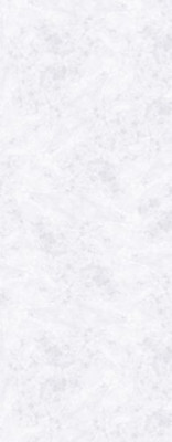 Panneau mural Vipanel aspect marbre blanc surface perlée épaisseur 3 mm longueur 1000 x hauteur 2550 mm ROTHALUX