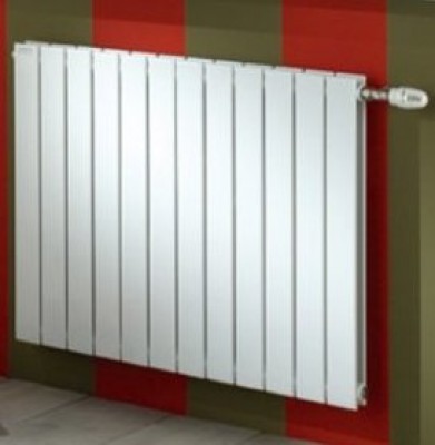 Radiateur FASSANE horizontal double d'eau chaude ACOVA