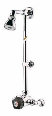 Mitigeur ALPA pomme de douche orientable PRESTO