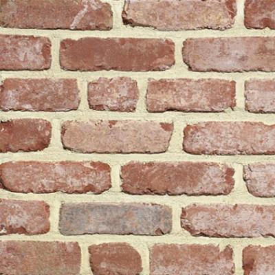 Brique PL Belle époque de Mons 215 x 102,5 x 65 mm TERCA